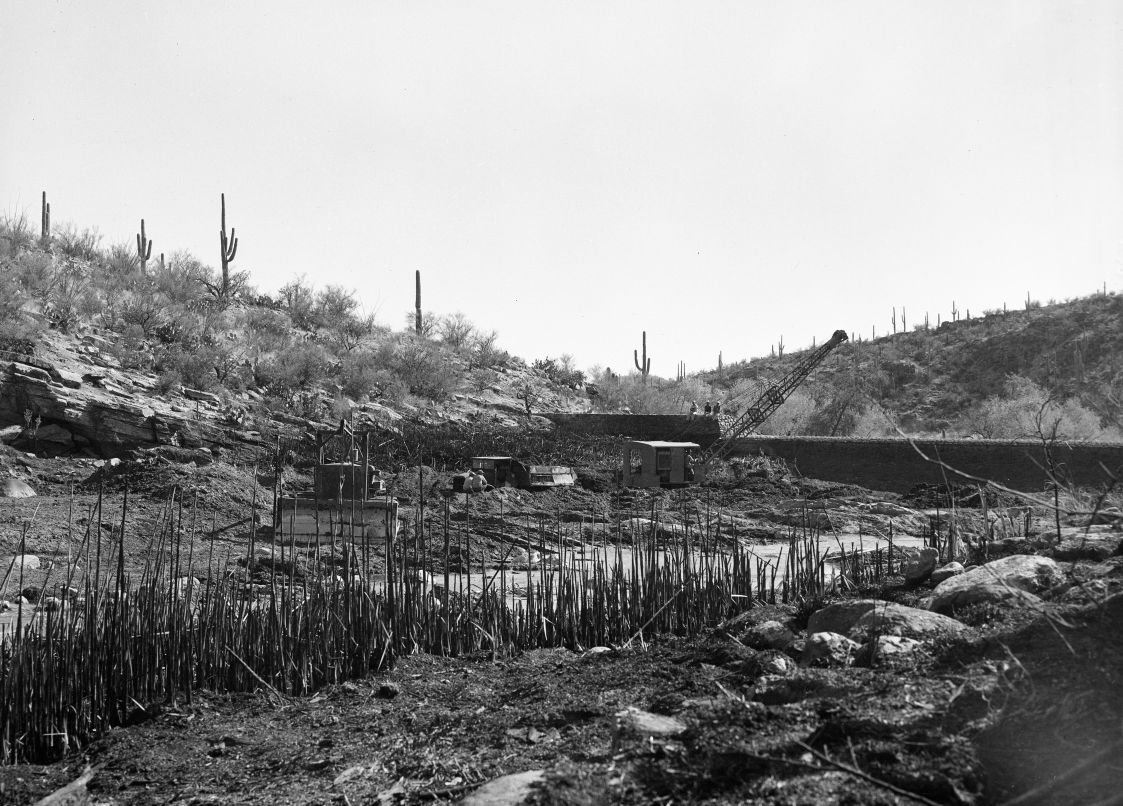 Sabino Lake in 1951
